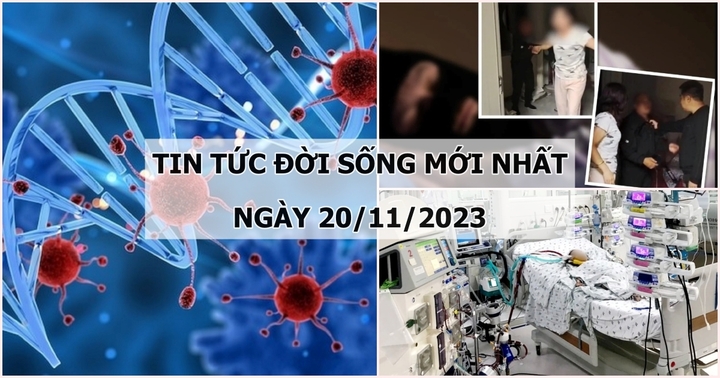 Tin tức đời sống mới nhất ngày 20/11: Người phụ nữ phát hiện điều kinh hãi trong căn phòng đóng kín