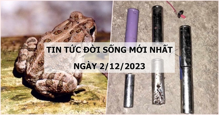 Tin tức đời sống mới nhất ngày 2/12: 1 người tử vong, 1 người nguy kịch sau khi ăn trứng cóc