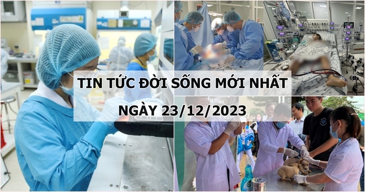 Tin tức đời sống mới nhất ngày 23/12: Cứu sống bé gái 11 tuổi bị viêm cơ tim tối cấp, sốc tim