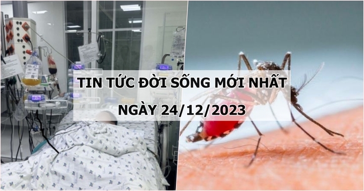 Tin tức đời sống mới nhất ngày 24/12: Phối hợp liên viện cứu bé 14 tuổi sốc sốt xuất huyết biến chứng nặng