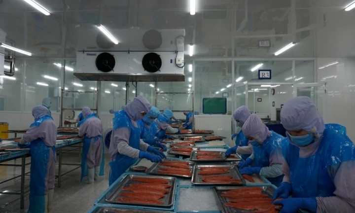 Một doanh nghiệp FDI ở Bình Định thưởng Tết cao nhất 250 triệu đồng/người