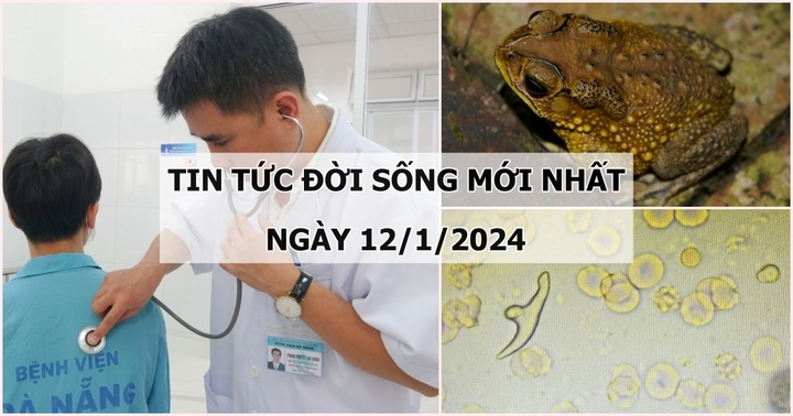 Tin tức đời sống mới nhất ngày 12/1: Gặp tai nạn giao thông, nam sinh bị đứt lìa phế quản gốc của phổi trái
