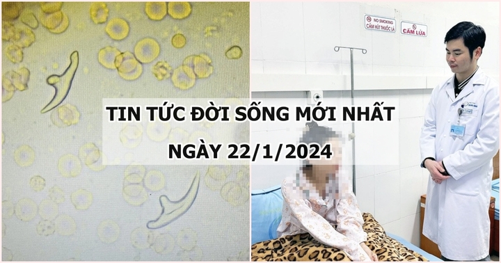 Tin tức đời sống mới nhất ngày 22/1: Người đàn ông nhiễm ấu trùng sán dây chó ký sinh ở phổi