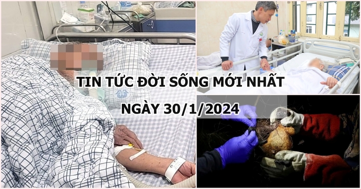 Tin tức đời sống mới nhất ngày 30/1: Phổi của cụ ông đông đặc sau 3 ngày sốt, đau họng