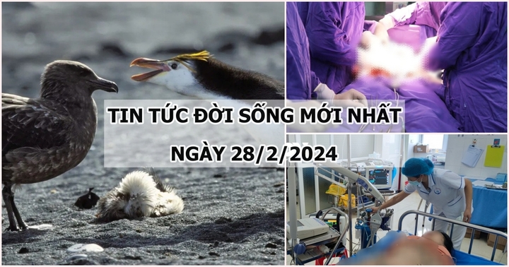 Tin tức đời sống mới nhất ngày 28/2: Báo động đỏ toàn viện cứu bệnh nhân bị phình vỡ động mạch chủ