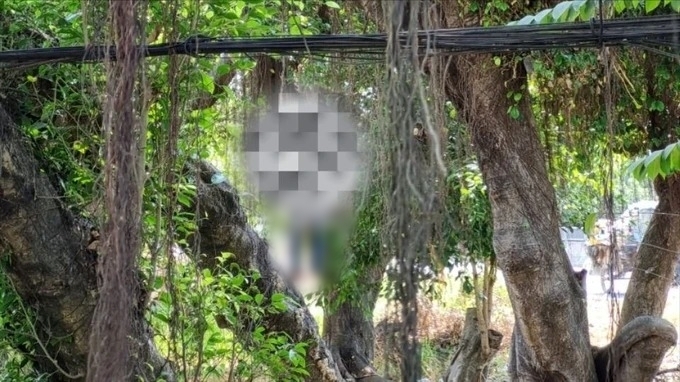 Long An: Đứng tránh nắng dưới gốc cây, phát hiện người đàn ông tử vong trong tư thế treo cổ