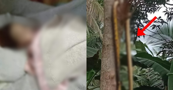 Mẹ bất cẩn để con gái 2 tuổi bị