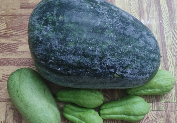 Mẹ nhắn nhủ “gửi quả bí đao nhỏ ăn nhé con”, cậu con trai giật mình ngã ngửa khi mở gói hàng ra