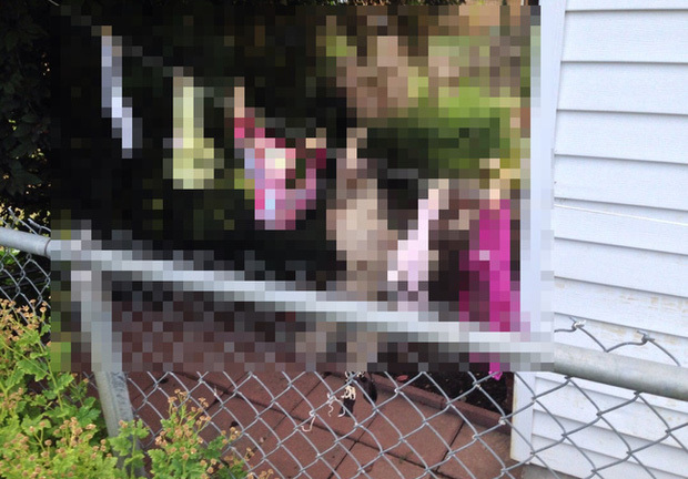 Người phụ nữ kiện hàng xóm vì tội phơi nội y lộ liễu, nguyên cớ phía sau khiến cảnh sát sững sờ