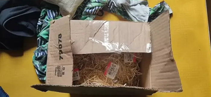 Chú rể hồn nhiên chia quà của người yêu cũ cho cả nhà thưởng thức, không ngờ điều kinh hoàng xảy đến