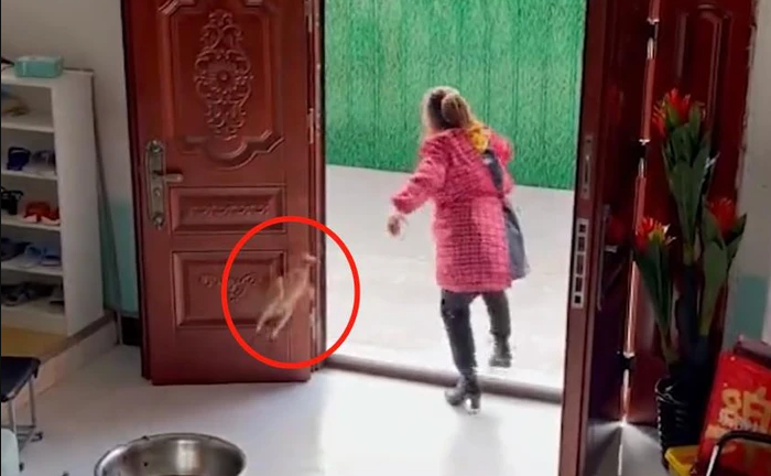 Thấy con dâu tương lai tới chơi, bà mẹ có ngay hành động 