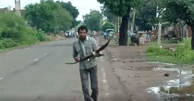 Người đàn ông bị quạ