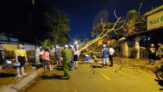 TP.HCM: Cây xanh bật gốc đè trúng 2 mẹ con