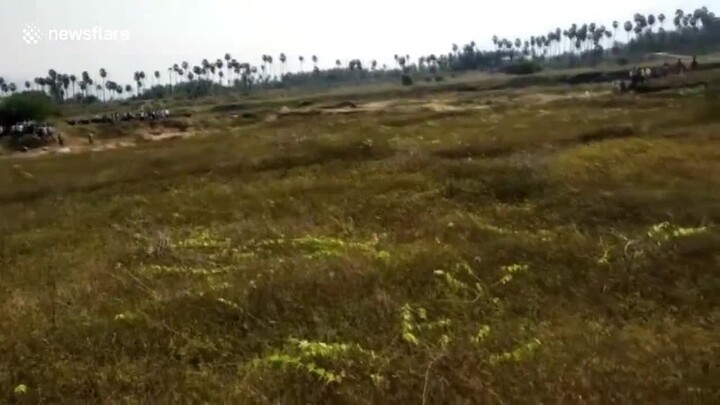 Clip: Bị người dân xua đuổi, báo hoa mai “khát máu” vào tấn công khiến 4 người bị thương 