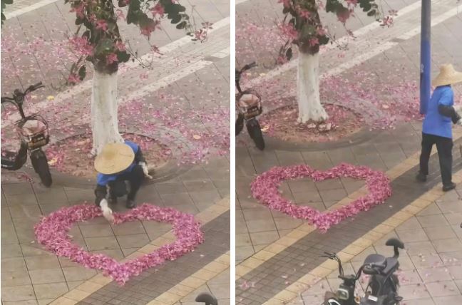 Thấy sân trường rụng đầy hoa ban, cô lao công có hành động lãng mạn khiến ai nấy 