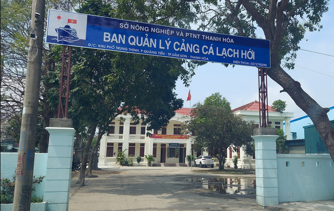 Một giám đốc cảng cá bị đình chỉ công tác do tham gia đánh bạc