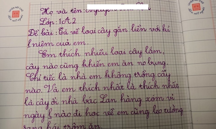 Bài văn tả loài cây kỷ niệm của học sinh tiểu học khiến cộng đồng mạng
