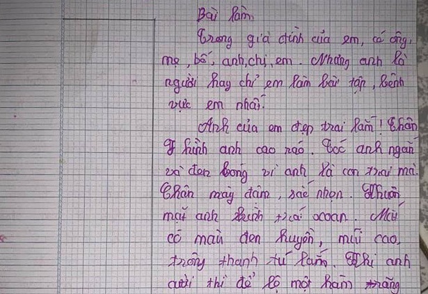 Bé gái miêu tả anh trai 