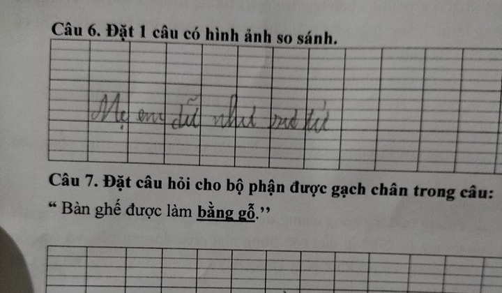 Đề bài yêu cầu đặt câu so sánh, học sinh tiểu học lấy mẹ làm ví dụ khiến dân tình 