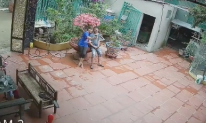 Cặp vợ chồng say sưa ngồi check-in bên chậu cây cảnh mới tậu và cái kết 