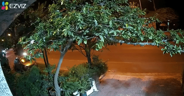 Hoảng hồn cảnh xe máy mất lái lao thẳng vào chậu cảnh, người ngồi sau bị hất văng lên cây