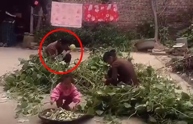 Vợ bỏ về nhà mẹ đẻ sau khi cãi nhau với chồng, dở khóc dở cười khi vừa bước vào sân