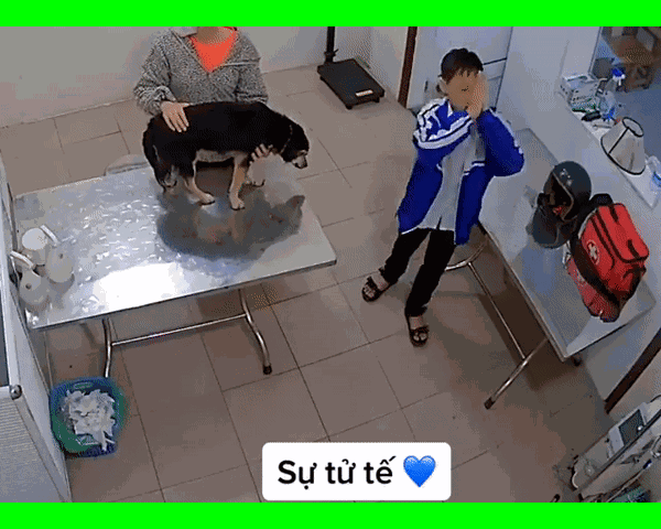 Đưa chó cưng đi khám thú y, nam sinh có hành động đặc biệt khiến dân mạng xuýt xoa