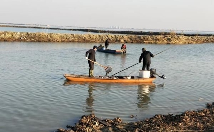 Muốn mau khỏi bệnh, người phụ nữ phóng sinh 12 tấn cá