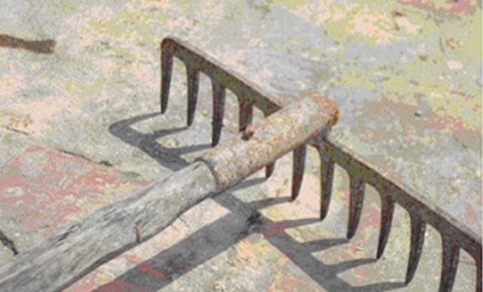 Đà Nẵng: Truy bắt nhóm trộm gà đánh người trọng thương