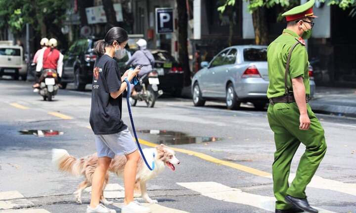 Hà Nội: Dắt chó đi dạo, cô gái bị phạt 2 triệu đồng