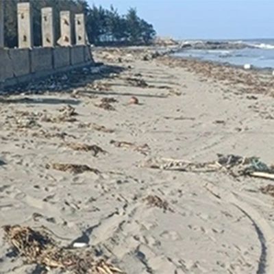 Chưa xác định danh tính thi thể không đầu ở bờ biển ở Thái Bình