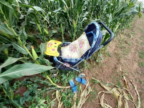 Vụ 3 mẹ con nữ giáo viên mất tích: Mẹ chồng nạn nhân nói gì?