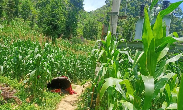 Hà Giang: Một cháu bé tử vong thương tâm vì trèo lên cột điện