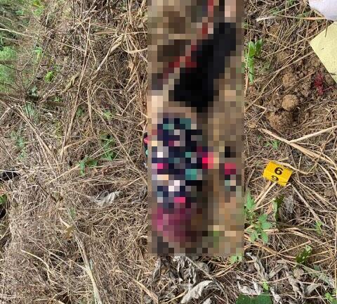 Thi thể người phụ nữ trong rừng sâu hé lộ tội ác rợn người của tên “sát nhân”