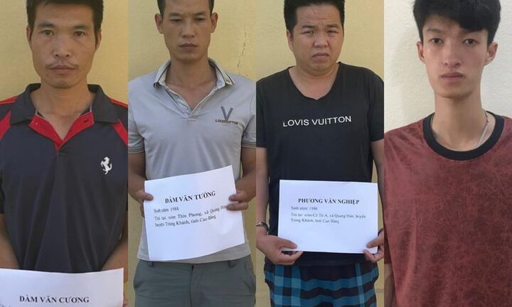 Khởi tố 4 đối tượng buôn lậu, vận chuyển trái phép gia súc qua biên giới