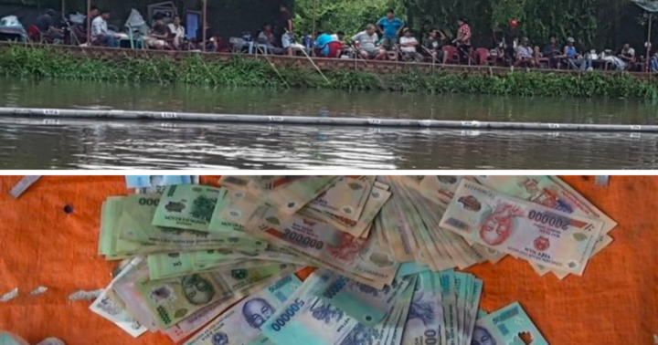 Khởi tố nhóm đối tượng đánh bạc trá hình bằng hình thức câu cá ăn tiền