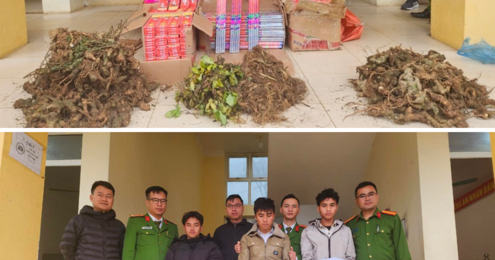 Đường dây buôn lậu sâm Trung Quốc sau đó “phù phép” thành sâm Lai Châu do thanh niên 27 tuổi cầm đầu 