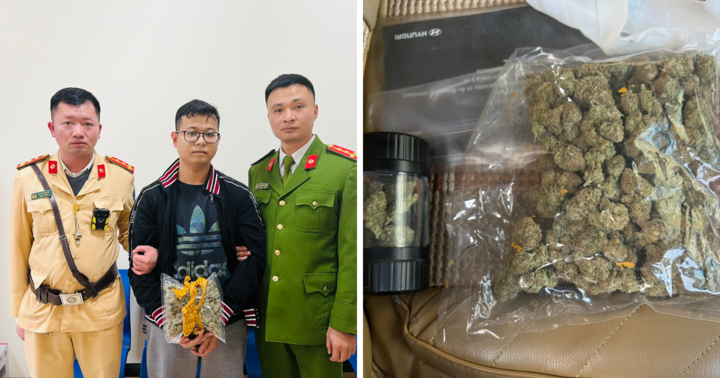 Nam thanh niên ươm trồng cần sa, tự thu hoạch tại nhà rồi rao bán trên mạng xã hội