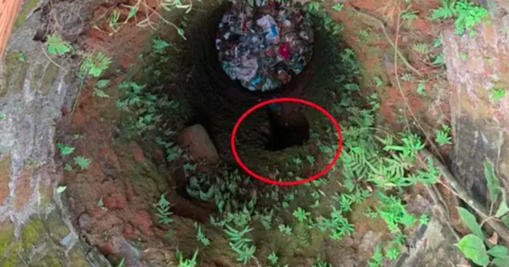 Thi thể cụ bà dưới giếng bỏ hoang, tố cáo tội ác “kinh hoàng” của gã đàn ông 53 tuổi