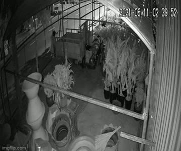 Vụ clip người đàn ông cắt khóa, trộm xe ba gác tại Củ Chi: Camera ghi được gì?