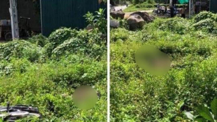 Vụ nam thanh niên 18 tuổi tử vong ở bụi cỏ ven đường: Hiện trường xuất hiện chiếc xe máy bí ẩn