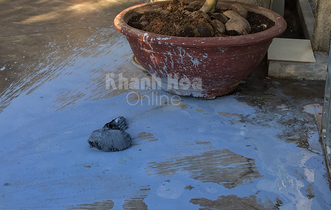 Vụ tạt sơn, mắm tôm vào nhà Bí thư Đảng ủy xã ở Khánh Hòa: Hé lộ cuộc điện thoại của 