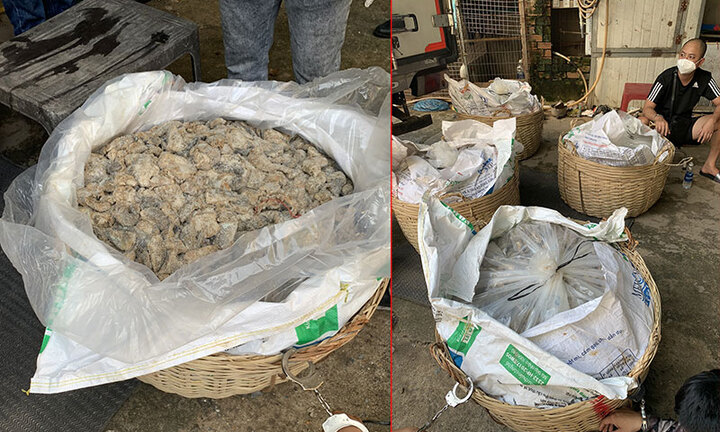 Phá đường dây ma túy