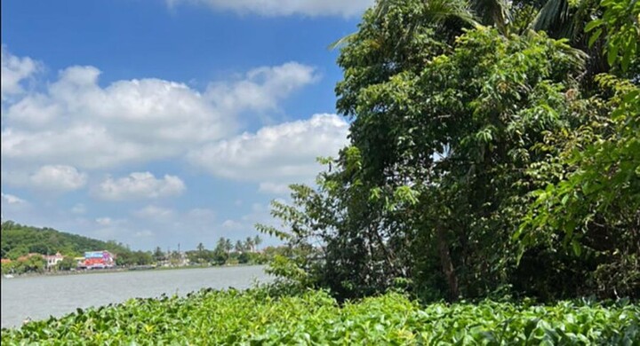 Vụ Phó Giám đốc Trung tâm Phát triển quỹ đất chết trong tư thế treo cổ: Tình tiết bất ngờ