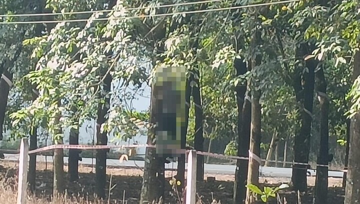 Vụ người đàn ông chết trong tư thế treo cổ trên cây cao su ở Bình Dương: Nạn nhân khoảng 40 tuổi