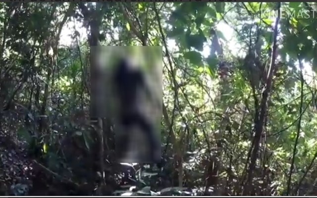 Vụ thi thể người đàn ông treo cổ ở Phú Thọ: Gia đình nhận được tin nhắn dặn đến mang xác về