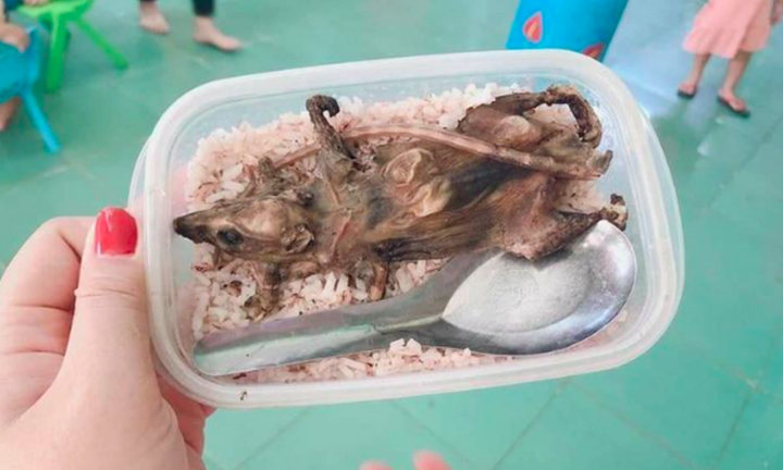 Quảng Nam thông tin chính thức về 