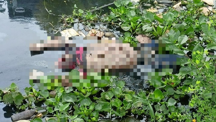 Vụ thi thể trên kênh ở Bạc Liêu: Nạn nhân mất tích sau khi đi đám tang