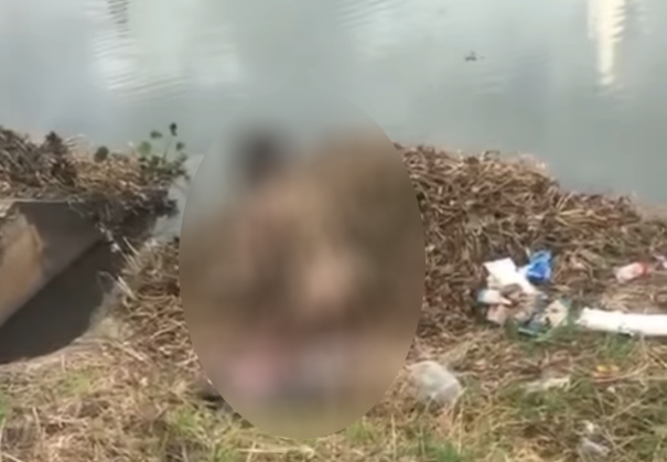 Cô gái trẻ nghi tự thiêu bên bờ hồ ở Đà Nẵng