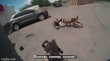 Video: Cảnh khuyển khống chế tên cướp ngân hàng có vũ khí